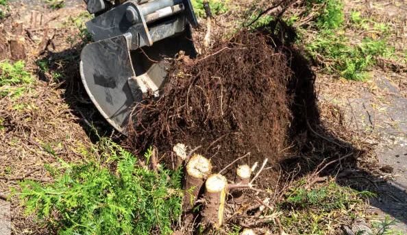 Screenshot at Feb 20 19-56-41