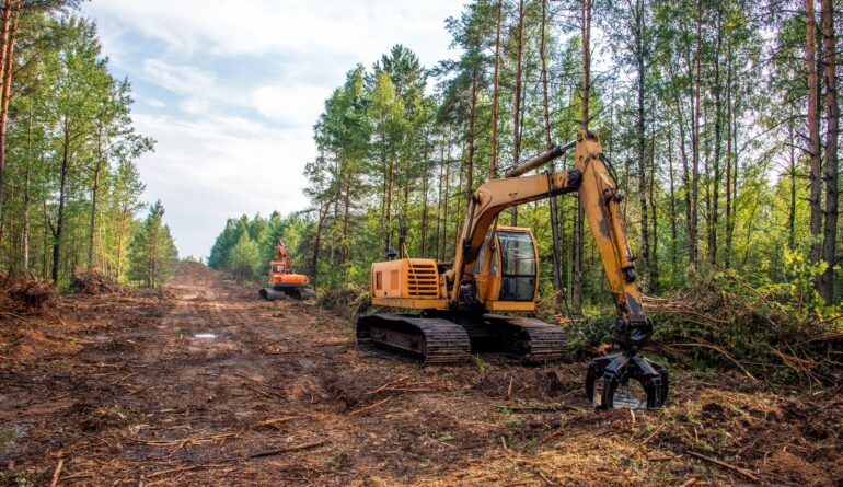 Excavadora, pinza, durante la limpieza del bosque, para nuevo desarrollo, retroexcavadora de orugas