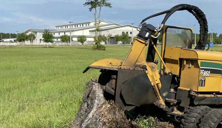 robert-s-stump-grinding-U_ooeZD4rc8-unsplash